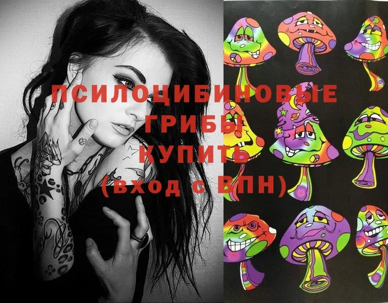 Галлюциногенные грибы MAGIC MUSHROOMS  купить   KRAKEN ссылки  Александровск 