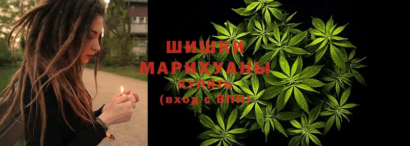 блэк спрут ТОР  Александровск  Шишки марихуана план 